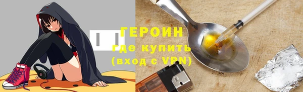 индика Вяземский