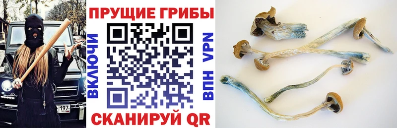 Псилоцибиновые грибы мухоморы  Купить закладки  Крымск 